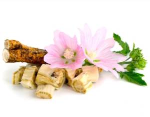 Мукалтин Инструкция По Применению Беременным 3 Триместр