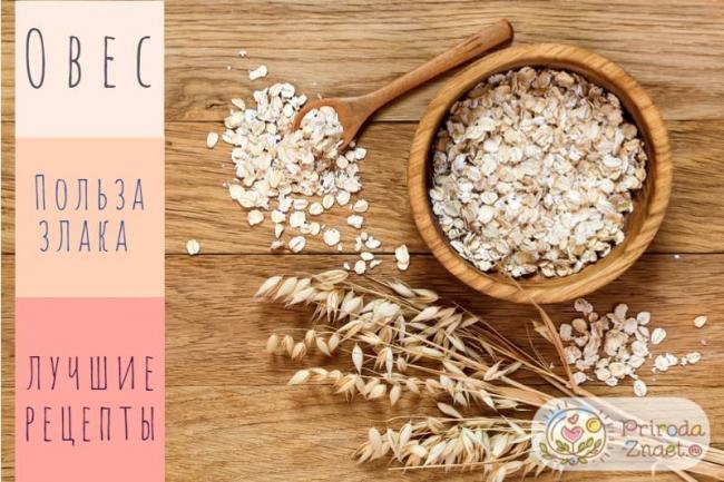 Рецепты овсяного молока от кашля