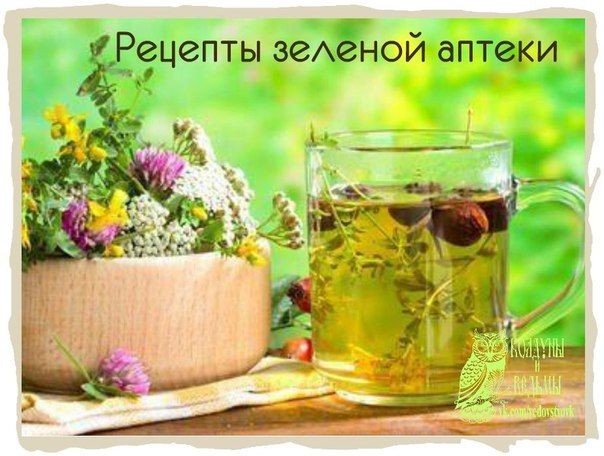 Лечение кашля медом: эффективные рецепты
