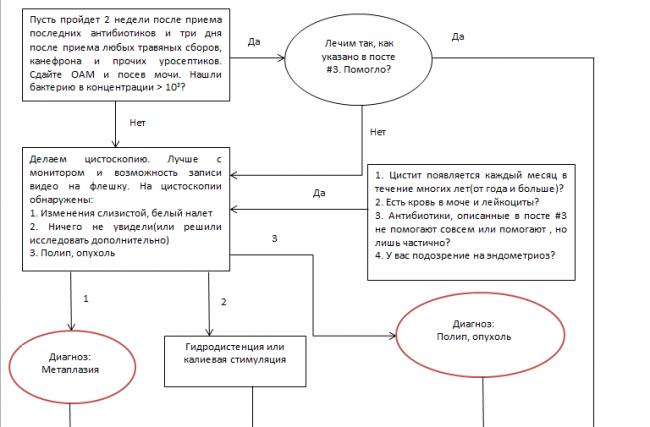Бактерии в моче.