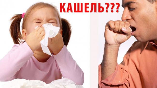 Лечение хронического кашля у взрослых народными средствами