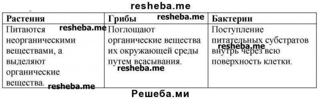 Какие бактерии являются возбудителями заболеваний растений, животных и человека