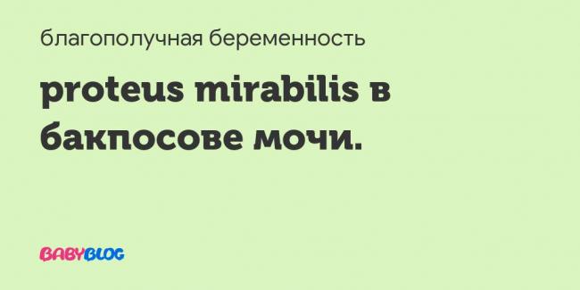 Опять бактерии в моче... ((( - запись пользователя оксана (lourdes) (zaliziouk) в сообществе детские болезни от года до трех в категории лечение воспаления мочевыводящих путей, работе почек, пописах и их количестве. - babyblog.ru