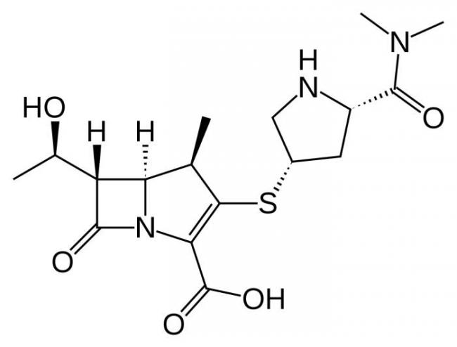 Proteus mirabilis (протей мирабилис). что это в моче, мазке, кале, лечение