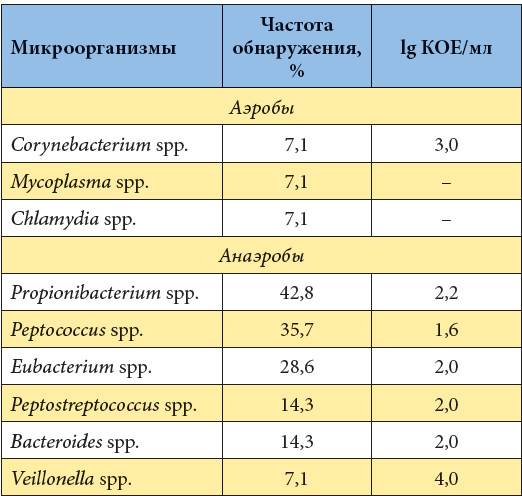 Sos! бактерии в анализе мочи: нельзя оставить без внимания