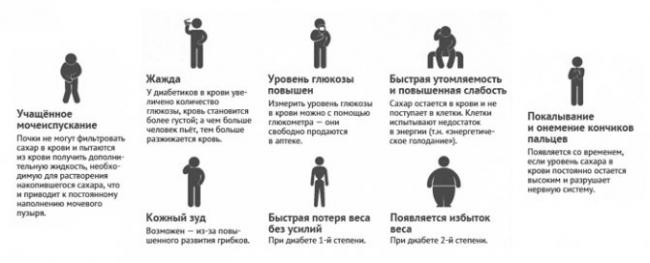 Норма сахара в крови: о чем говорит показатель?