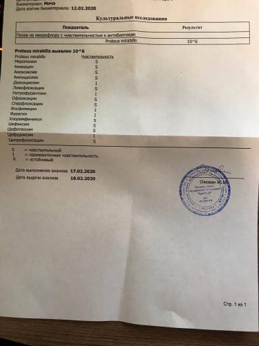 Proteus vulgaris в кале у ребенка