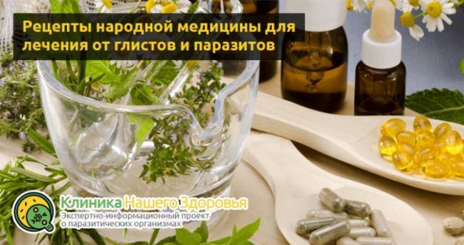 Способы очищения организма от паразитов в домашних условиях