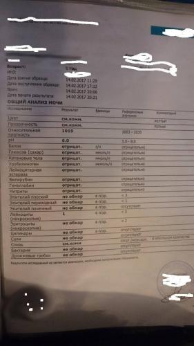 Что значат бактерии в моче у женщин, расшифровка результатов анализов и лечение