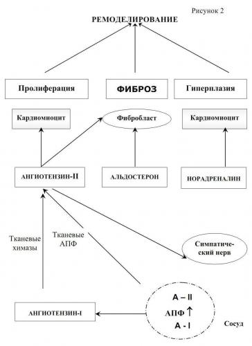 Какая температура при пневмонии и сколько держится?