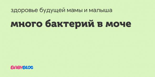 Proteus mirabilis в моче - запись пользователя наталья (webgirla) в сообществе здоровье новорожденных в категории заболевания мочеполовой сферы - babyblog.ru