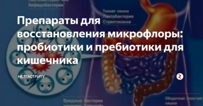 Современный подход к лечению бактериальной инфекции в полости желудка