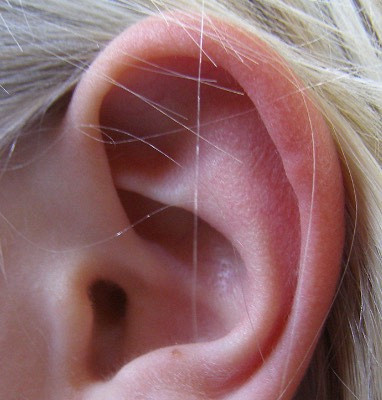 Почему чешутся уши внутри у человека — зуд в ушах, причина и лечение, как избавиться от зуда в ушах