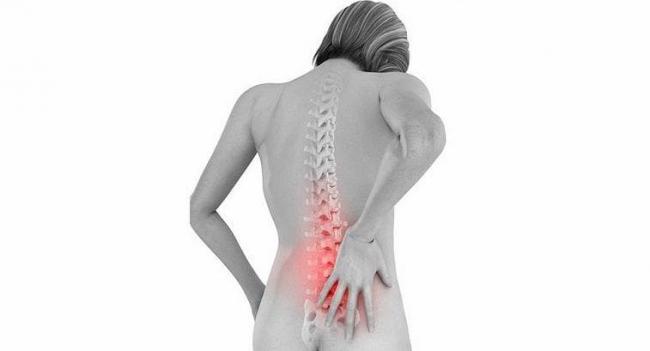 Обзор мази жабий камень