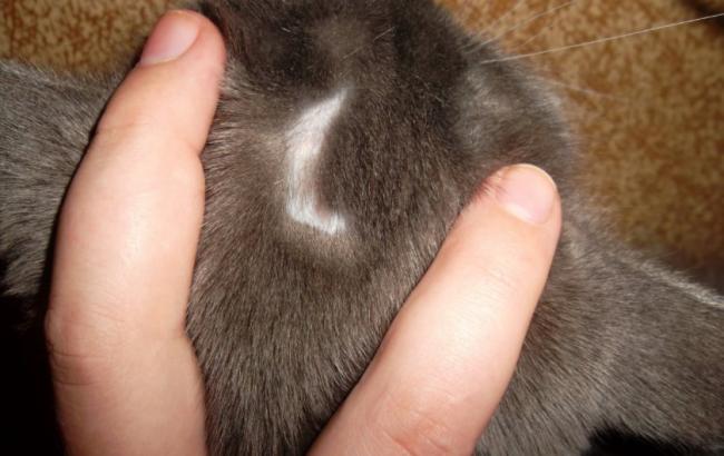 Депо-провера инструкция по применению, отзывы