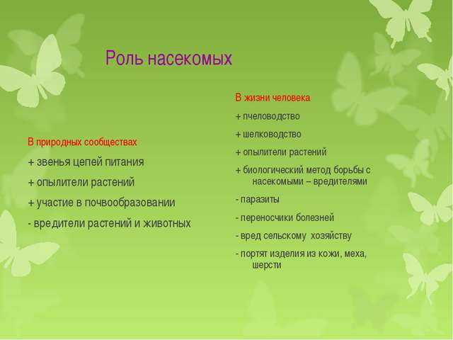 Бактерии – незаметные труженики, без которых невозможна жизнь на земле: каково их значение в природе?