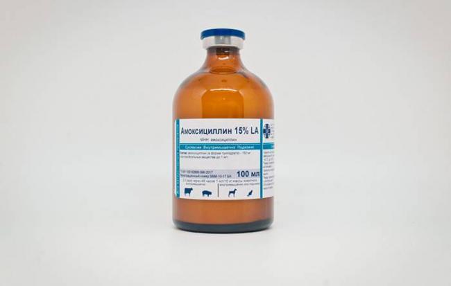 Амоксициллин для кошек инструкция по применению