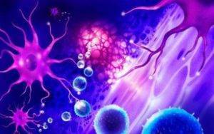 Циклоферон отзывы