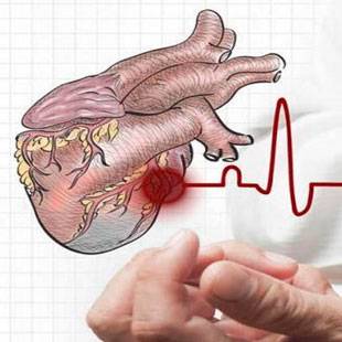 Проще посчитать звезды на небе, чем количество бактерий в кишечнике