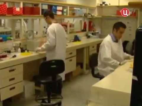 Вирусы, микробы и бактерии: в чем отличия?