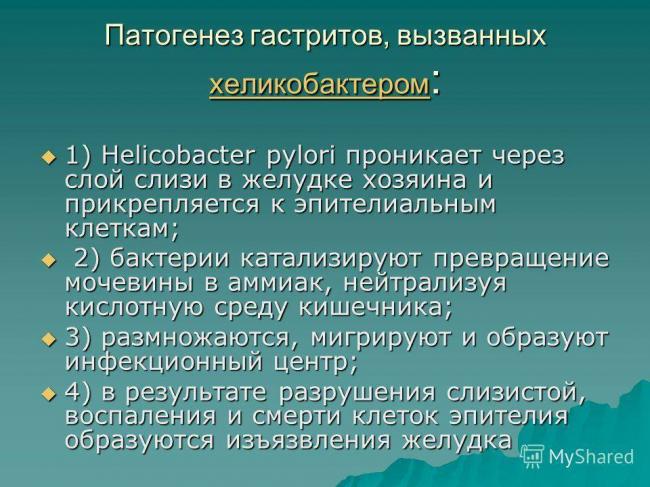 Бактерия хеликобактер есть почти у всех, как распознать и как бороться?