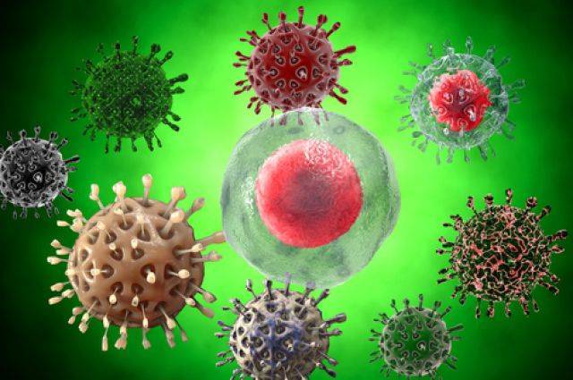 Болезнетворные бактерии: на коже, во рту, в кишечнике. фото грибков и бактерий