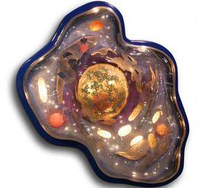 Какие функции выполняет цитоплазма в бактерии?