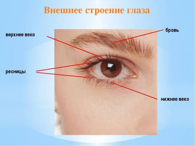 Распространение микроорганизмов в природе