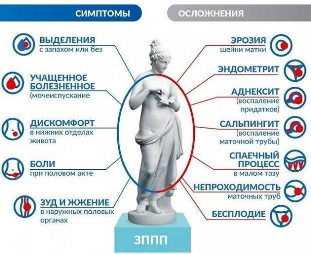 Бактериоскопия мазка расшифровка у женщин
