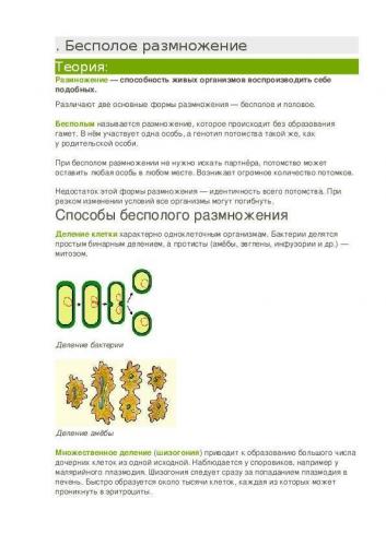 Бактерии: питание, дыхание, ферменты и пигменты. фото