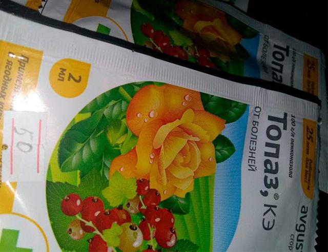 Фунгицид топаз: подробное описание препарата, 4 варианта применения и аналог