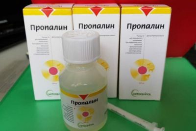 Лучший аналог "пропалина": "овестин", "диетрин". показания, инструкция по применению