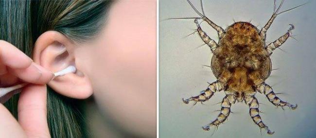 Почему очень сильно чешется ухо внутри