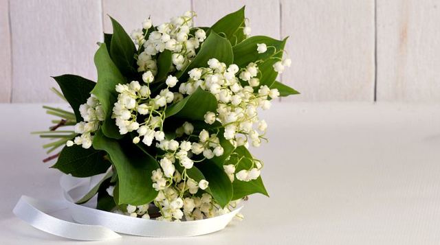 Ландыша настойка инструкция по применению, отзывы и цена в россии