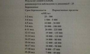 Как бактерии попадают в анализ мочи и чем опасна бактериурия