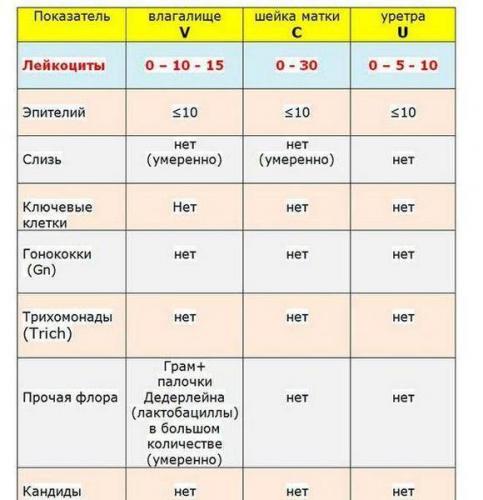 Анализ мазка по гинекологии. расшифровка лейкоциты, флора. норма по возрасту