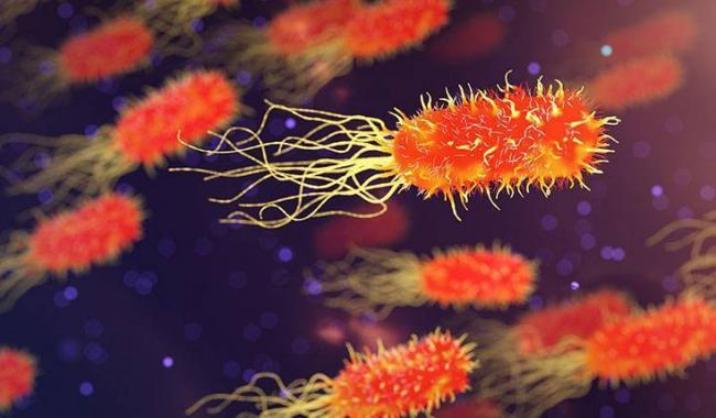 Фотофармакология