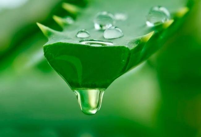 Папиллома на глазу: как удалить папиллому под глазом?