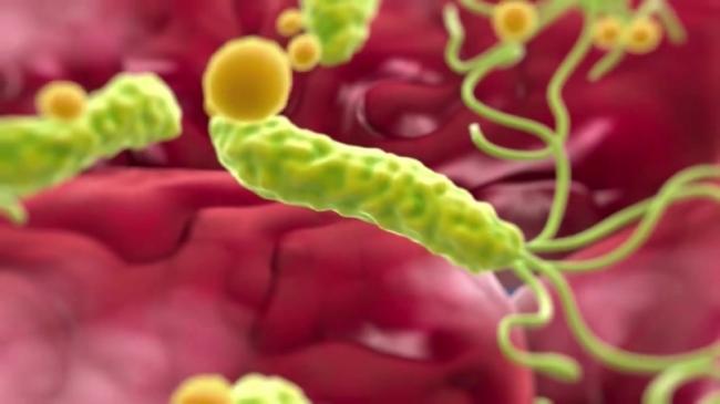 Особенности назначения препаратов и показания к лечению от бактерии хеликобактер