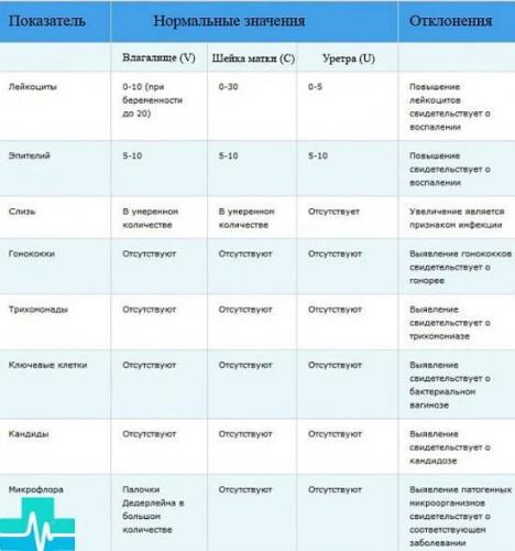 Мазок на флору: расшифровка результатов анализа, норма показателей и патология