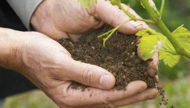 Современные антибиотики, против каких бактерий их применять