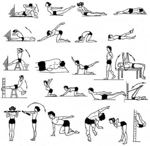 Лфк при сколиозе у детей и подростков