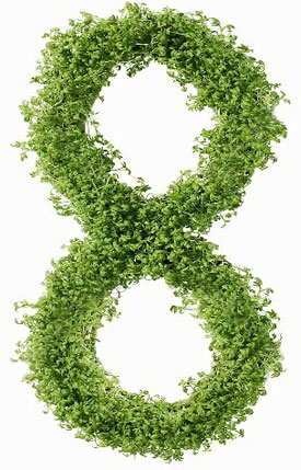 Диета 8 при ожирении: разрешенные продукты, меню на неделю, отзывы похудевших