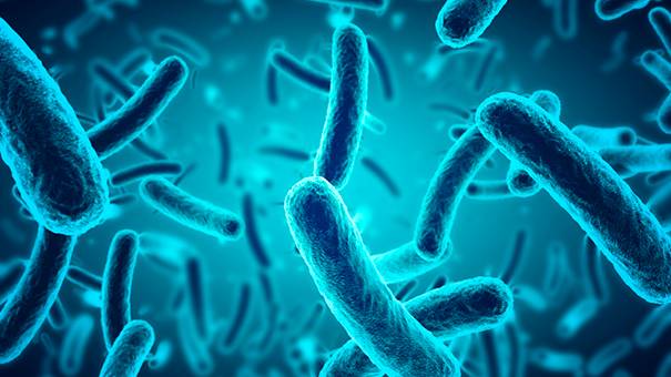 Лечение болезни на пользу