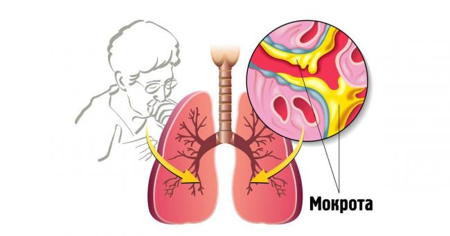 Бромгексин: инструкция по применению таблеток для взрослых и детей