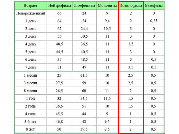 Эозинофилы в крови повышены, что делать? какова норма?