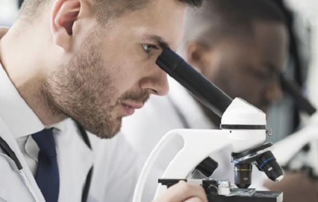 Цефазолин инструкция по применению