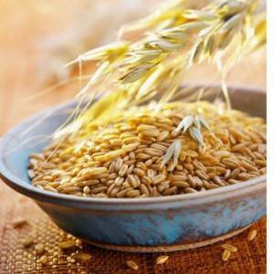 Перцовый пластырь при бронхите