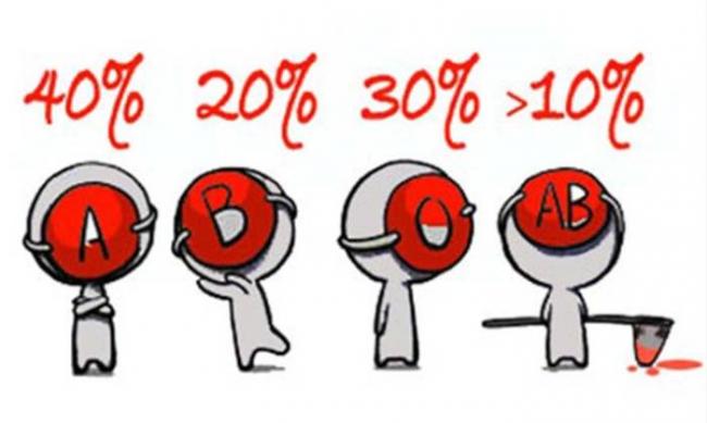 Система питания и полезные продукты для первой группы крови — обзор научных исследований
