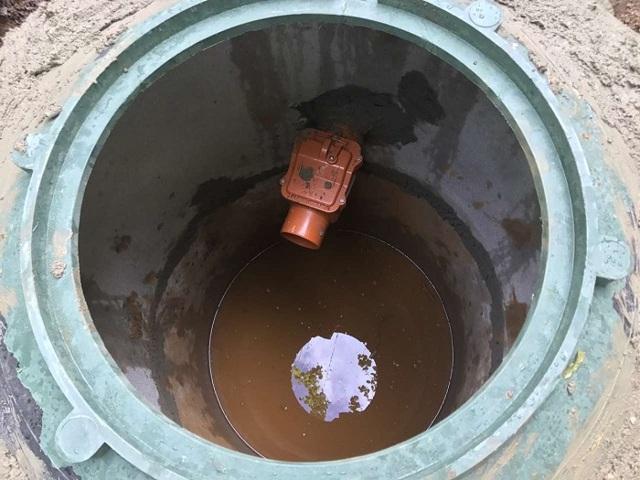 Огородный и садовый «лекарь» - фунгицид топаз, особенности препарата, отзывы, когда обрабатывать